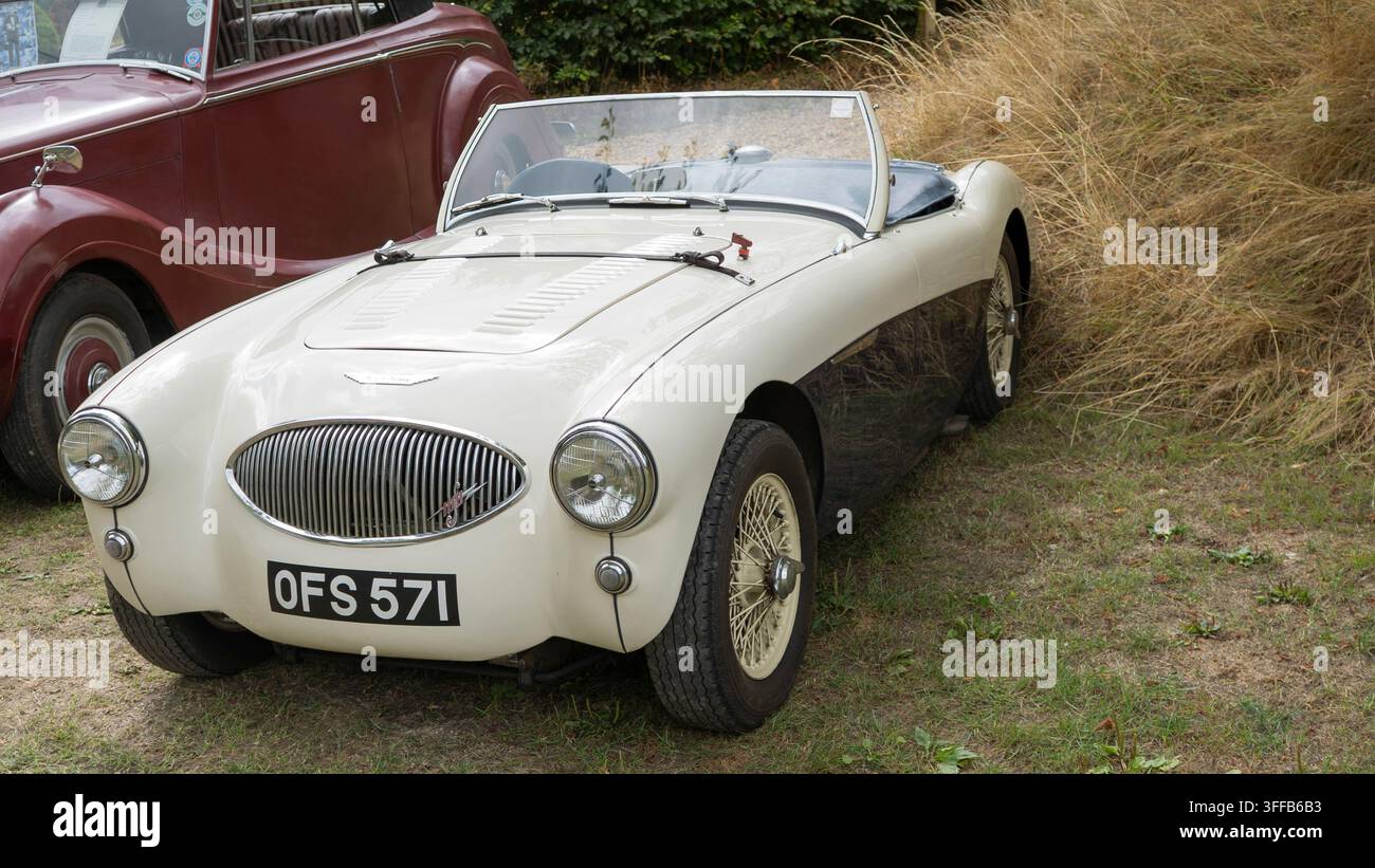 Dorking, UK - 2. September 2026: Eine Vorderansicht im Dreiviertelprofil eines klassischen zweifarbenen Austin-Healey 100 Sportwagens in Creme und Dunkel mit Drahtreifen, ein Stockfoto