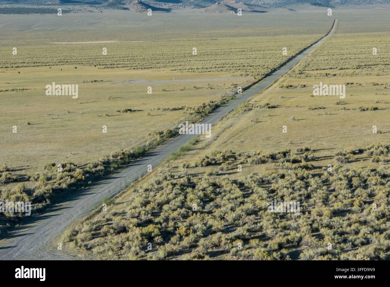 Eine gerade und ungepflasterte Straße verläuft in einer geraden Linie über die Wüstenlandschaft in der Great Basin-Wüste in Kalifornien, USA. Stockfoto