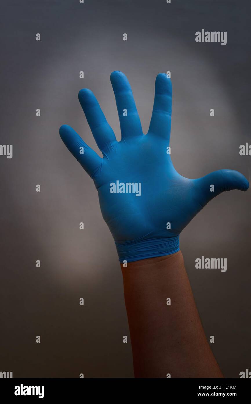 Eine Hand in einem blauen medizinischen Handschuh mit gespreizten Fingern ist nach oben erhoben Stockfoto
