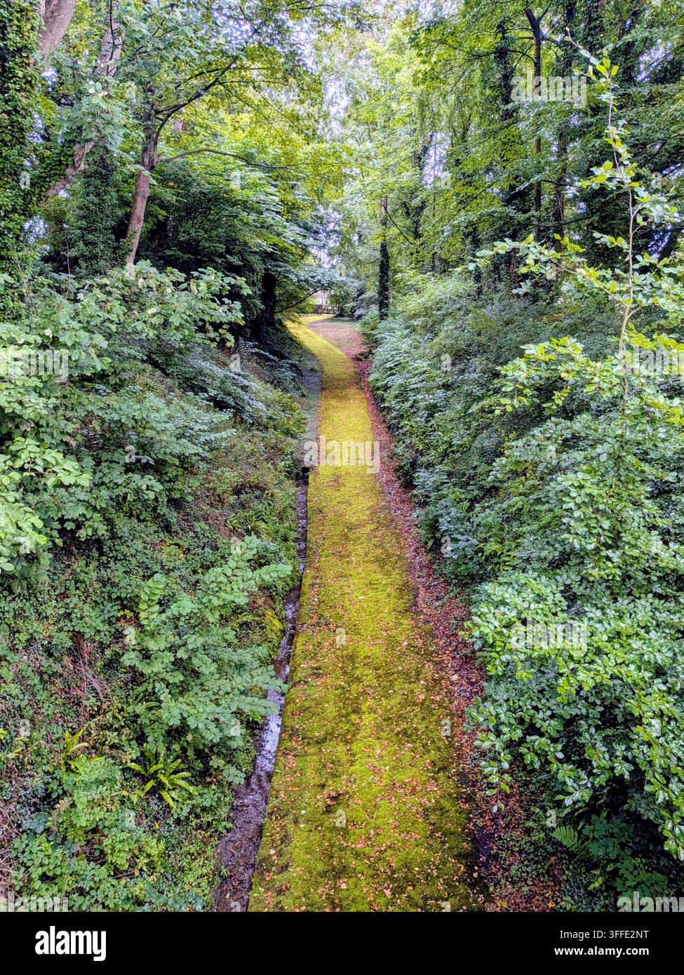 Skipton Schloß Wald Stockfoto