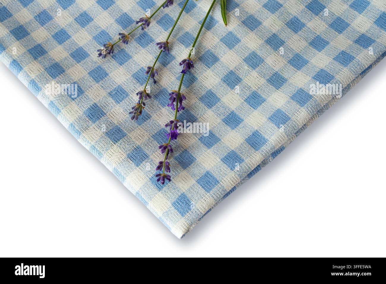 Lavendelblüten ruhen auf einem blau-weiß karierten Tuch in einer häuslichen Umgebung. Das Licht mildert die Szene, als der Morgen anbricht. Stockfoto