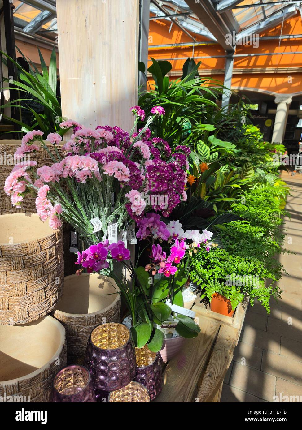Wunderschönes Bouquet aus frischen rosa und lila Statice-Blüten, ausgestellt in einem Gartencenter-Blumenladen mit grünen Pflanzen - Smartphone-aufgenommenes Stockfoto