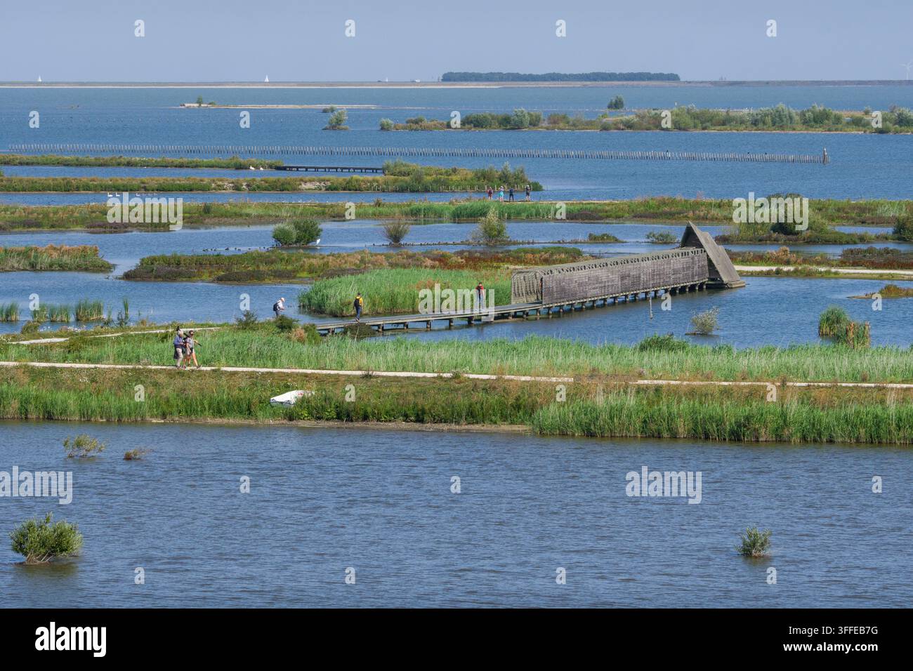 Vogelbeobachtung im Vogelschutzgebiet Marker Wadden in den Niederlanden. Die neuen Inseln wurden geschaffen, um die Natur zu schützen und die Biodiversität zu erhöhen. Stockfoto