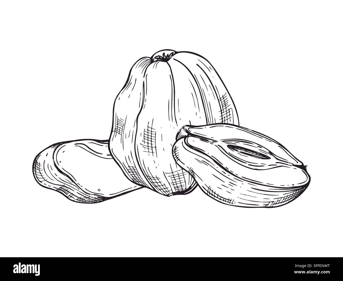 Ganze Quitte mit Scheiben und Halbabschnitten, handgezeichnete Schwarzstift-Vektorillustration. Monochromer Obstskizze für Herbstmenü, gesundes Essen Stock Vektor