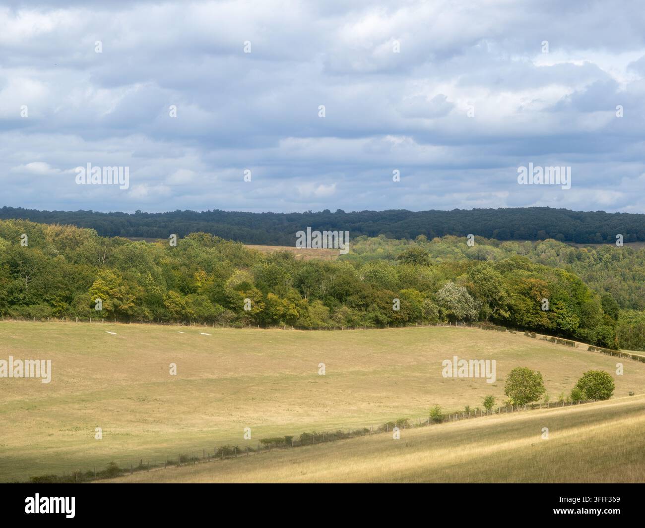 Rolandische Felder und Wälder unter dramatischem Wolkenhimmel, Landschaft von Kent, Gegend von Halling, UK. Stockfoto