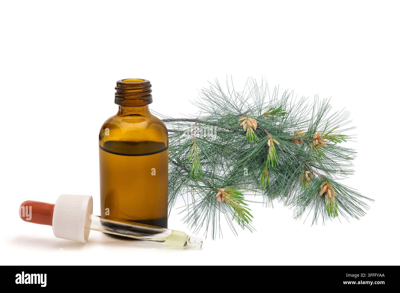 Arve (Pinus cembra) Kräuterextrakt in einer Glas-Tropfflasche isoliert auf weißem Hintergrund, stellvertretend für natürliche botanische Heilmittel, Wellness, Stockfoto