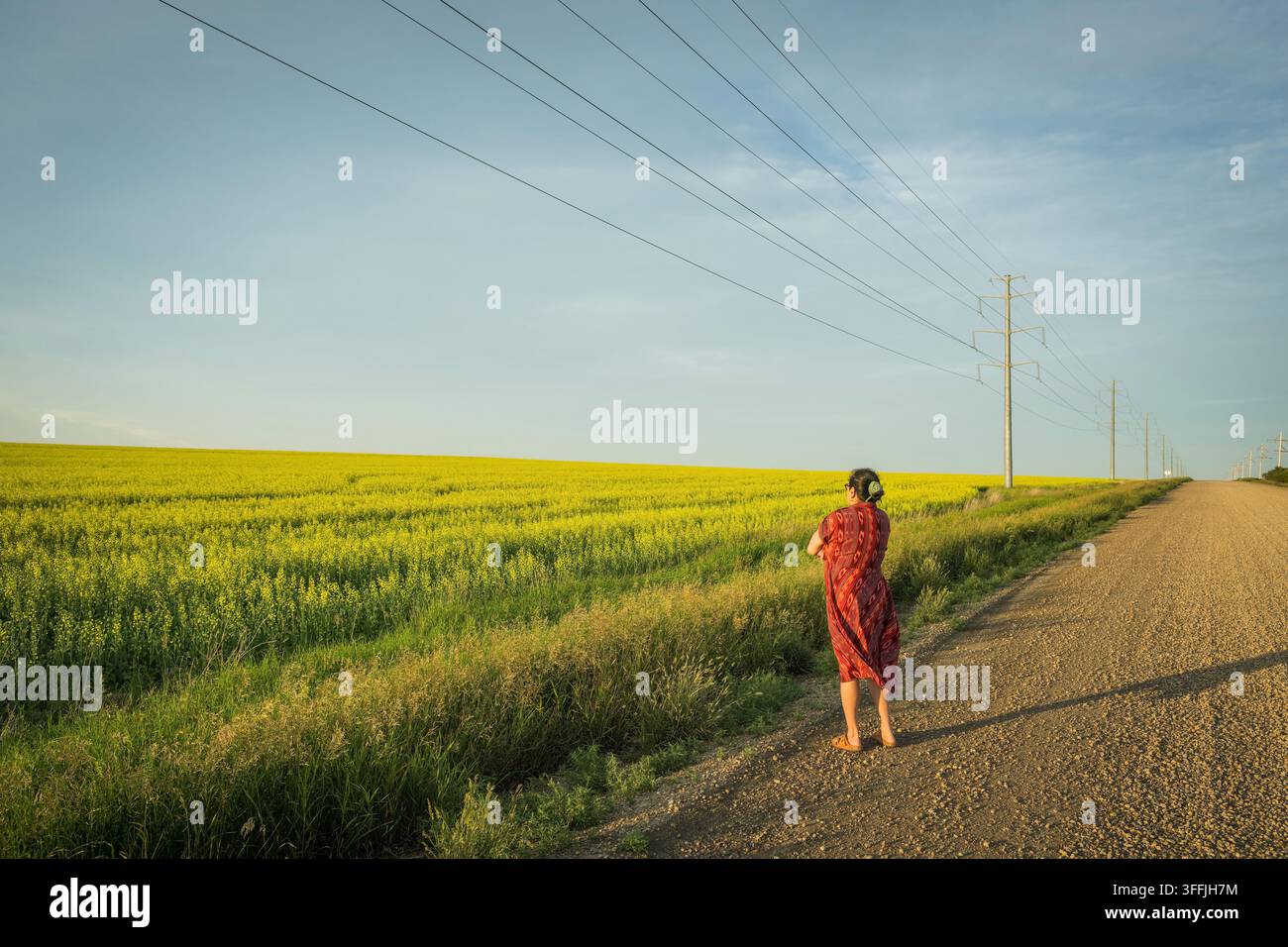 Eine Frau geht bei Sonnenuntergang durch Rapsfelder in Drumheller, Alberta, Kanada. Stockfoto