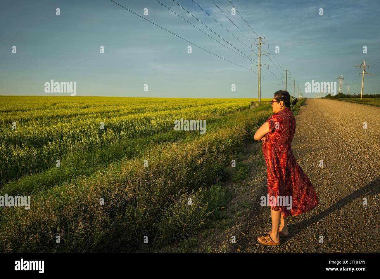 Eine Frau geht bei Sonnenuntergang durch Rapsfelder in Drumheller, Alberta, Kanada. Stockfoto