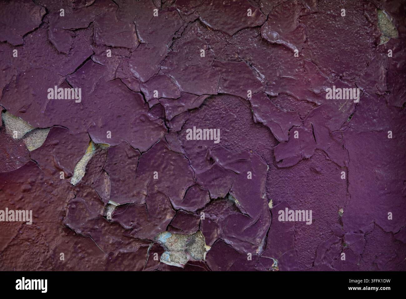 Lila abblätternde Farbe bricht und blättert an einer rauen Außenwand ab. Stockfoto
