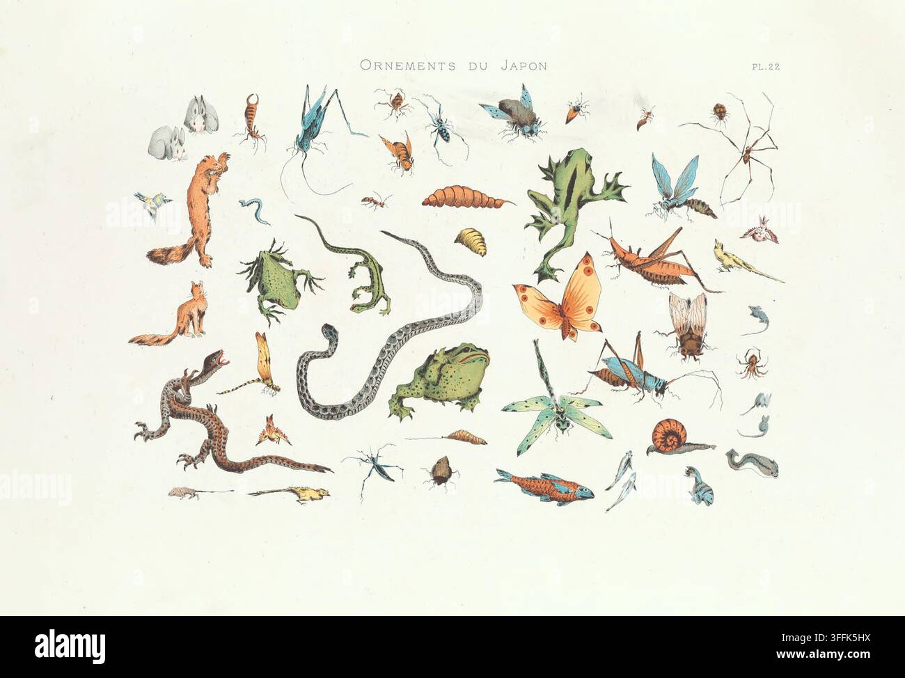 Tiere Japans: Reptilien, Fische, Insekten usw. 1883 Diese vielseitige und kunstvolle Komposition zeigt eine breite Palette kleiner Kreaturen und natürlicher Formen, sorgfältig in einem dekorativen Stil illustriert. Das Bild zeigt Insekten, Spinnen, Reptilien, Amphibien, Fische, Vögel, Säugetiere und verschiedene fantastische Kreaturen, die ohne spezifischen Hintergrund angeordnet sind und ihre Formen und Vielfalt betonen. Von Schmetterlingen, Käfern und Eidechsen bis hin zu Fröschen, Schlangen, Schnecken und Füchsen feiert die Tafel die Fülle des Lebens im Miniaturformat, ein in der japanischen Kunst beliebtes Thema, das oft in Textilmustern integriert wird Stockfoto