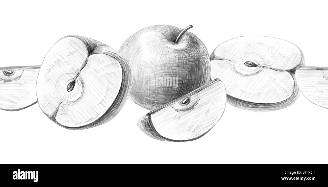 Eine nahtlose Bordüre mit handgezeichneten ganzen und geschnittenen Äpfeln. Isolierte Bleistiftillustrationen für Menüs, Rezepte und den Druck auf Papiertüten mit Obst und Bauernhof Stockfoto