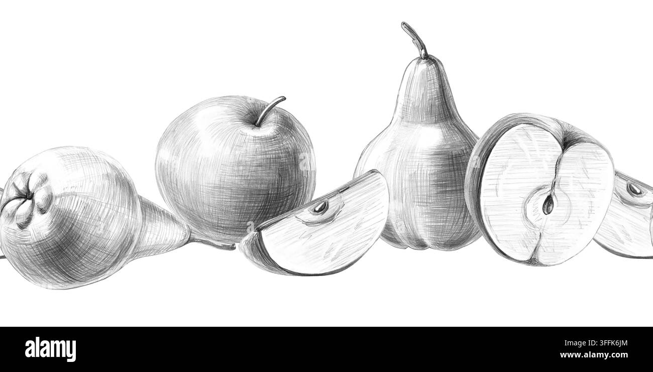 Eine nahtlose Bordüre mit handgezeichneten Birnen und Äpfeln. Isolierte Bleistiftillustrationen für Menüs, Rezepte, Druck auf Obsttaschen aus Papier, eine Skizze für Stockfoto