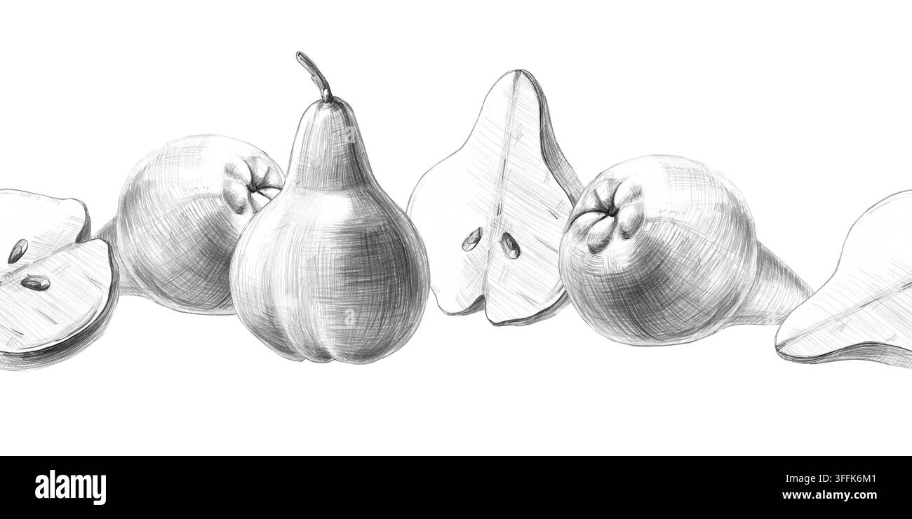 Eine nahtlose Bordüre mit handgezeichneten ganzen und geschnittenen Birnen. Isolierte Bleistiftillustrationen für Menüs, Rezepte und den Druck auf Obstbeutel und Bauernhöfen Stockfoto