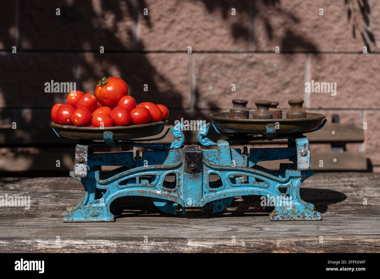 Frische rote Tomaten auf einer antiken mechanischen Waage, Nahaufnahme. Roh geerntete Bio-Tomaten werden auf einer alten rostigen blauen Küchenwaage gewogen mit ir Stockfoto
