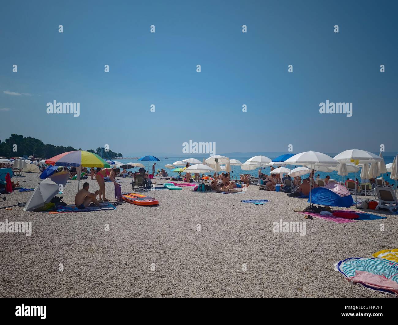Überfüllter Kieselstrand unter einem klaren blauen Himmel am Nikolina-Strand in Baska Voda mit bunten Sonnenschirmen und entspannten Touristen. - Smartphone-aufgenommenes Stockfoto