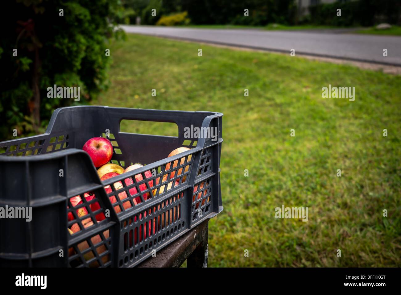 Frische lokale Früchte werden Passanten als einfaches Geschenk der Gemeinschaft angeboten. Stockfoto
