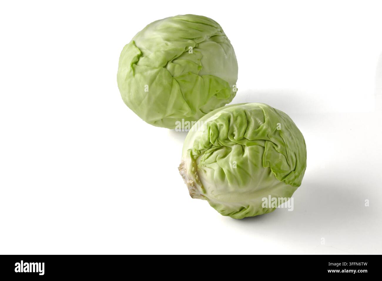 Zwei frische grüne Kohlköpfe isoliert auf weißem Hintergrund Stockfoto