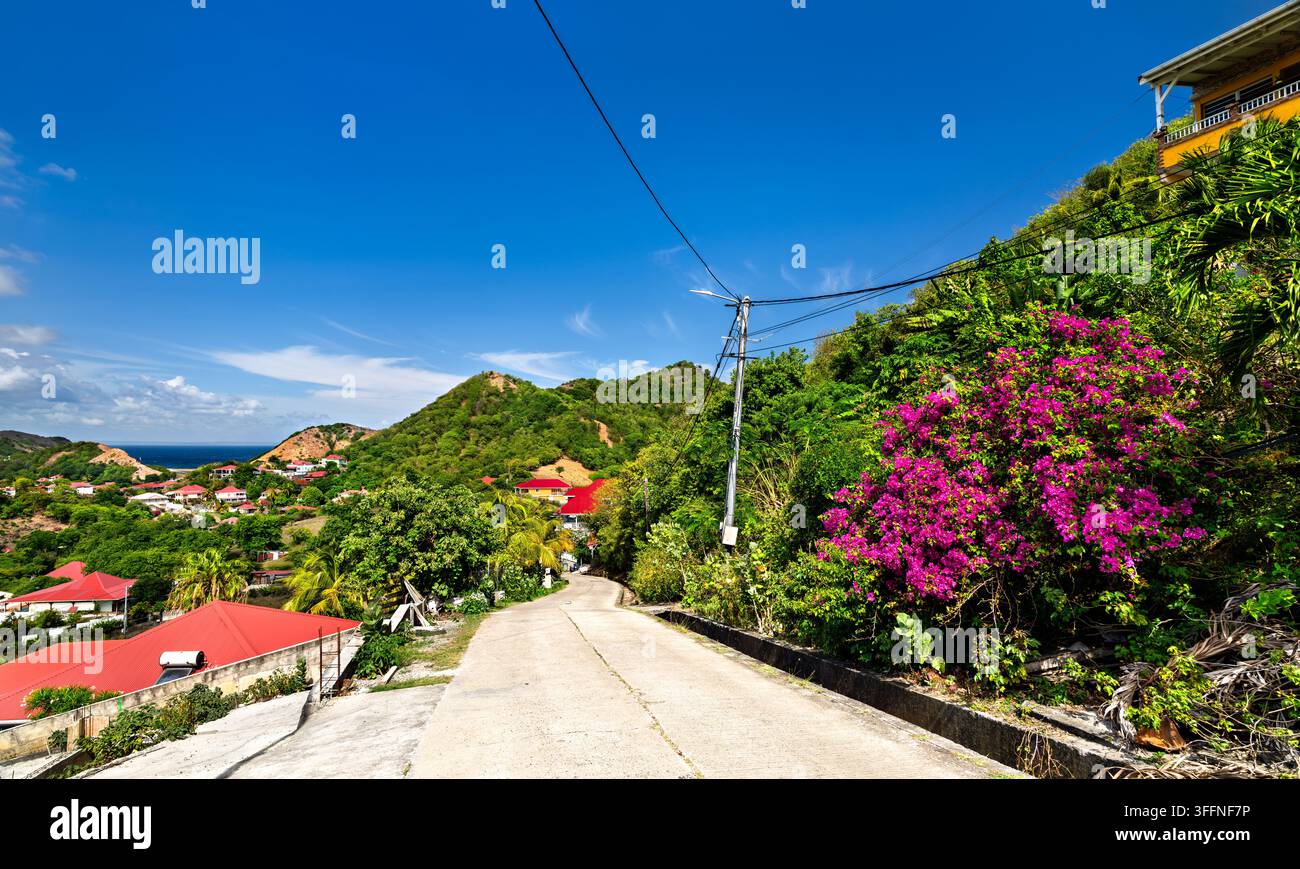 Schmale Betonstraße windet sich durch üppige tropische Hügel, farbenfrohe Häuser und blühende Bougainvillea in Terre-de-Haut, Les Saintes, Guadeloupe. Stockfoto