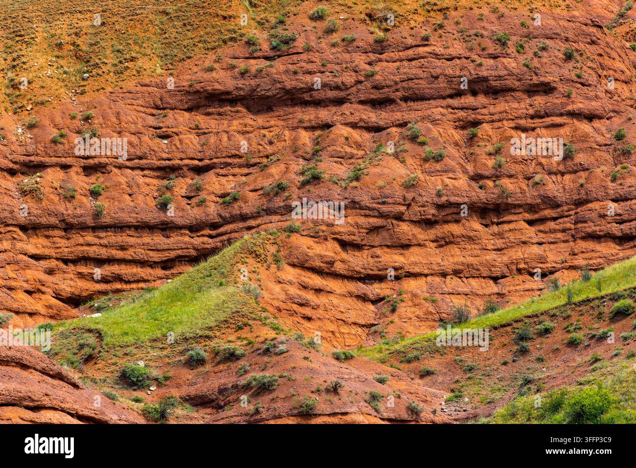 Nahaufnahme einer geschichteten Felsformation, die satte Orangetöne zeigt. Spärliches grünes Gras und Vegetation kontrastieren mit erdigen Tönen und heben natürliche Texturen hervor. Stockfoto