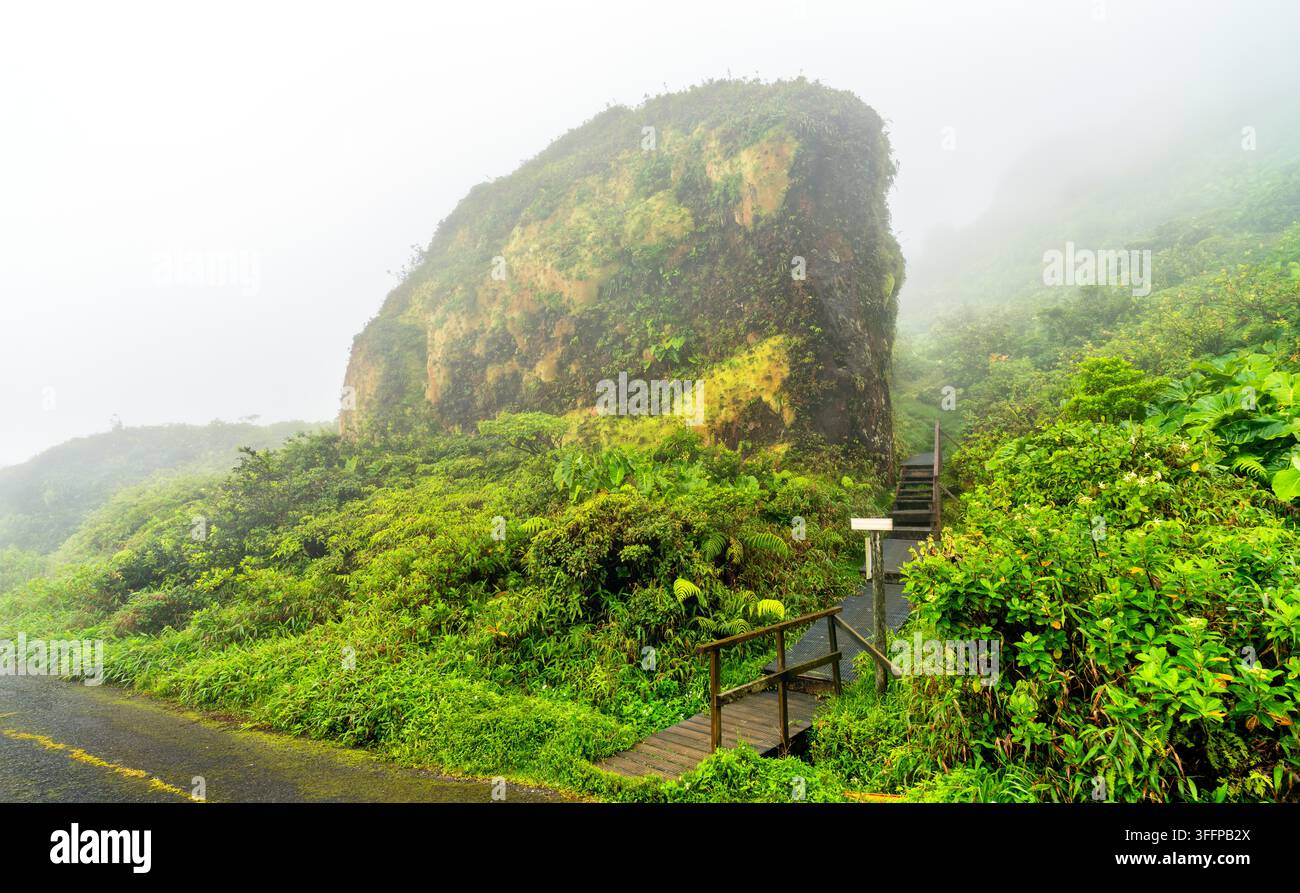 Ein hölzerner Steg führt am Rocher de la Vierge vorbei, einem moosigen Felsen, der eine versteckte Statue der Jungfrau Maria beherbergt, in den nebligen Regenwald des Mount Soufriere in Guadeloupe. Stockfoto