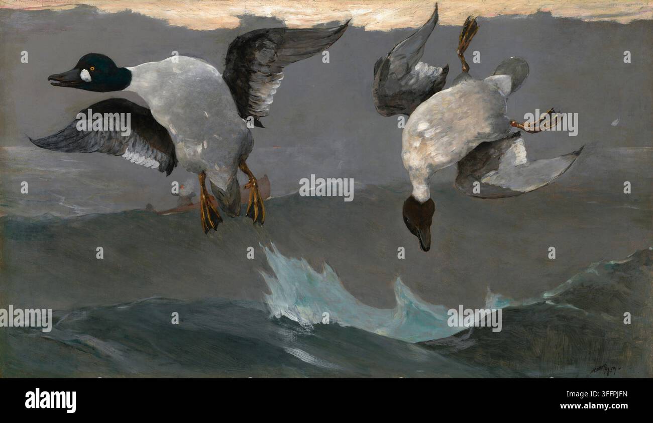 Historisches Gemälde von Rechts und Links von Winslow Homer, 1909, das zwei Goldenten im Flug über rauen Meereswellen zeigt, Momente nachdem sie während einer Seejagd geschossen wurden. Stockfoto