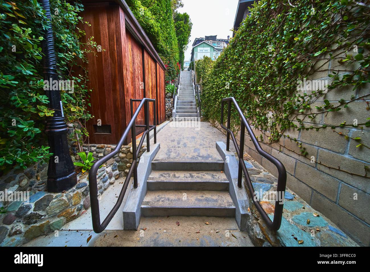 Städtische Treppe mit Holzgebäude, grünen Ranken und Betonweg Stockfoto