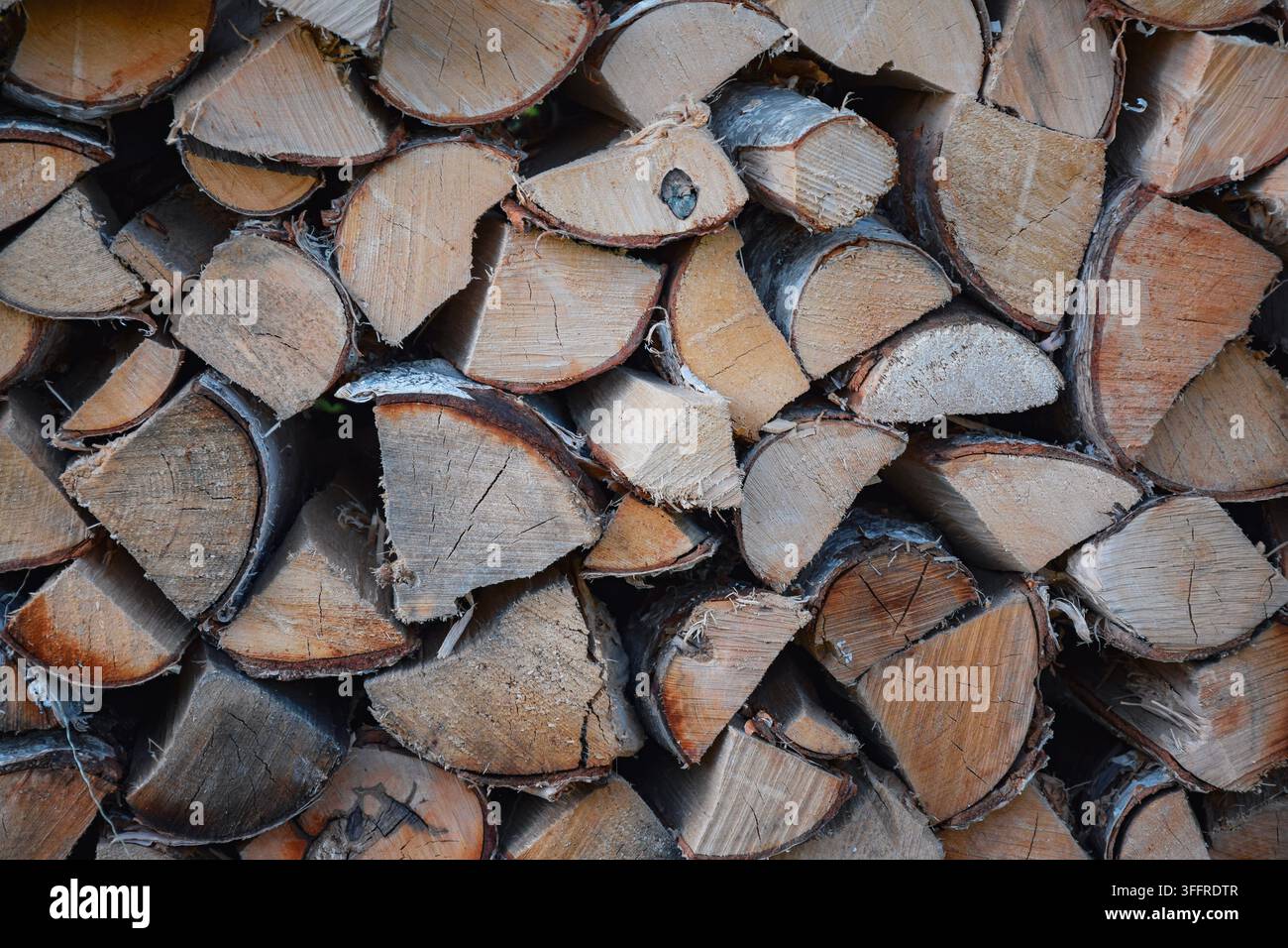 Stapel von gespaltenem Brennholz mit sichtbarer natürlicher Holztextur und geschnittenen Oberflächen Stockfoto