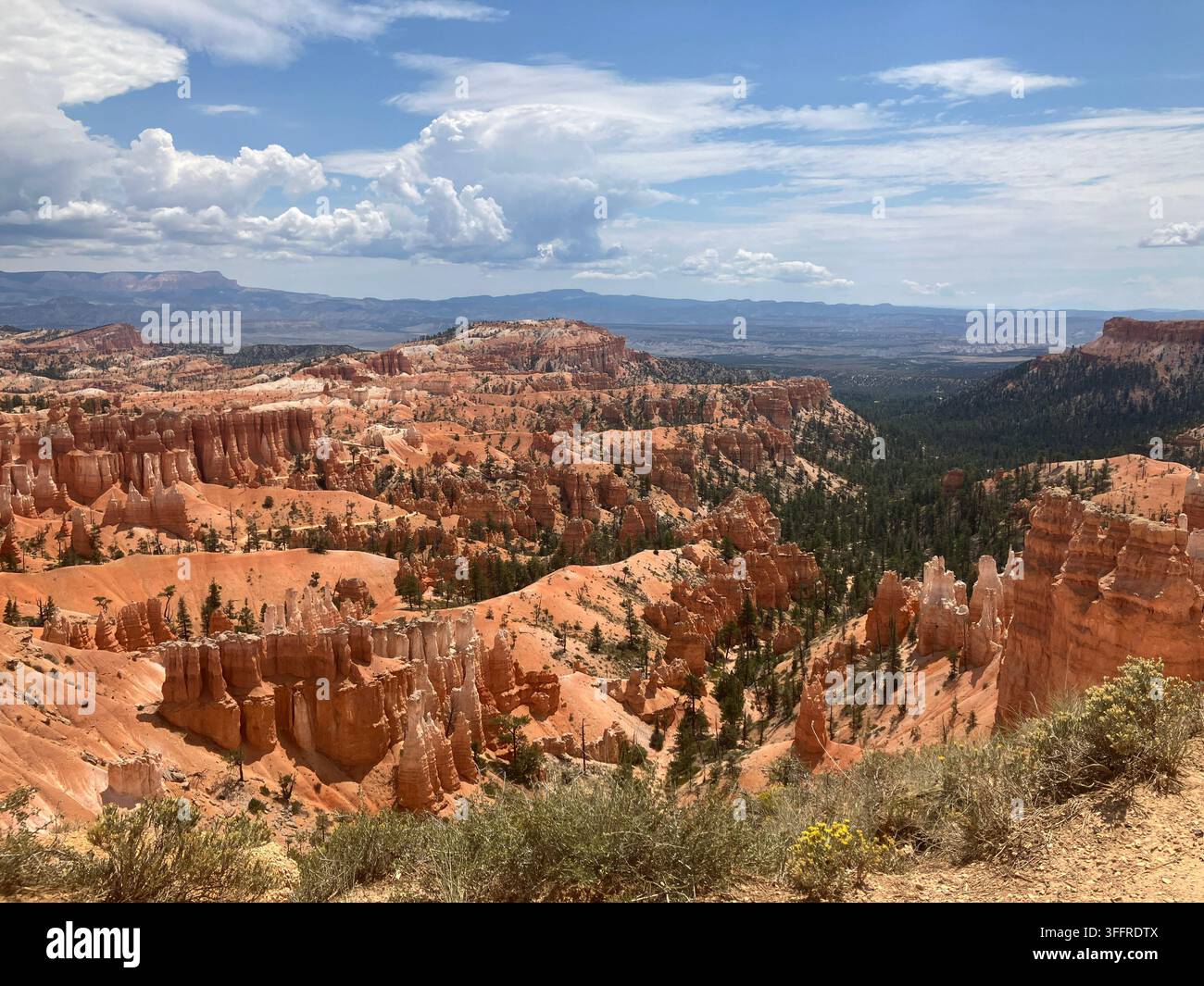 Weitläufige malerische Landschaft der Hoodoos im Bryce Canyon in Utah Stockfoto