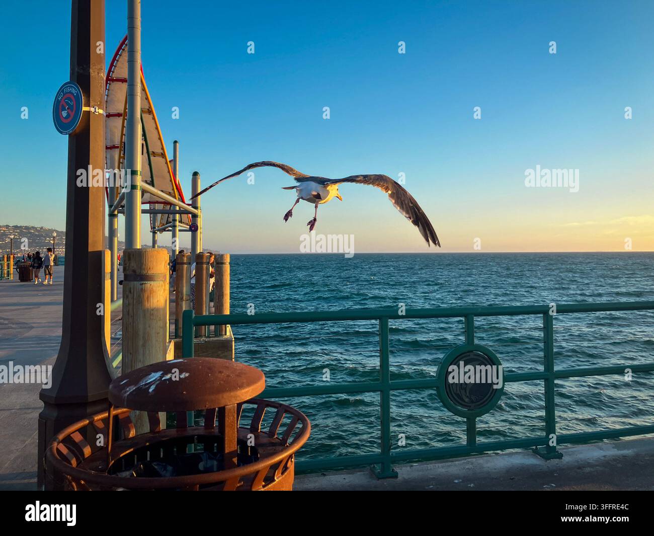 Kalifornien, USA – 17. Juli 2026: Möwe, die vom Redondo Beach Pier in Kalifornien Richtung Meer abhebt Stockfoto
