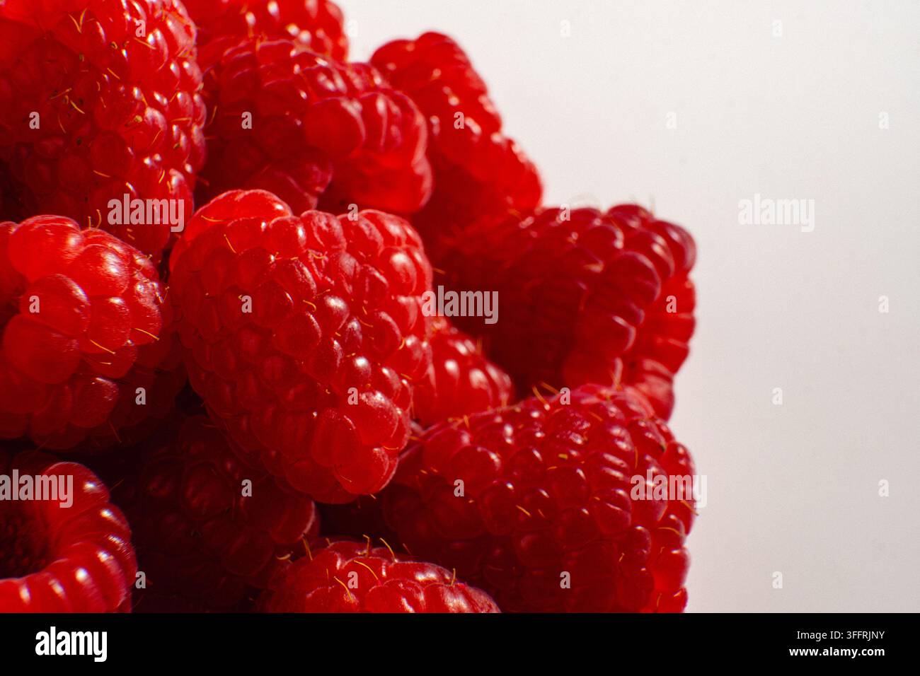 Nahaufnahme von reifen roten Himbeeren, die sich vor hellem Hintergrund stapeln, glänzende Fruchtperlen und natürliche Schatten, detaillierte Makro-Nahrungsstruktur mit Aromen Stockfoto