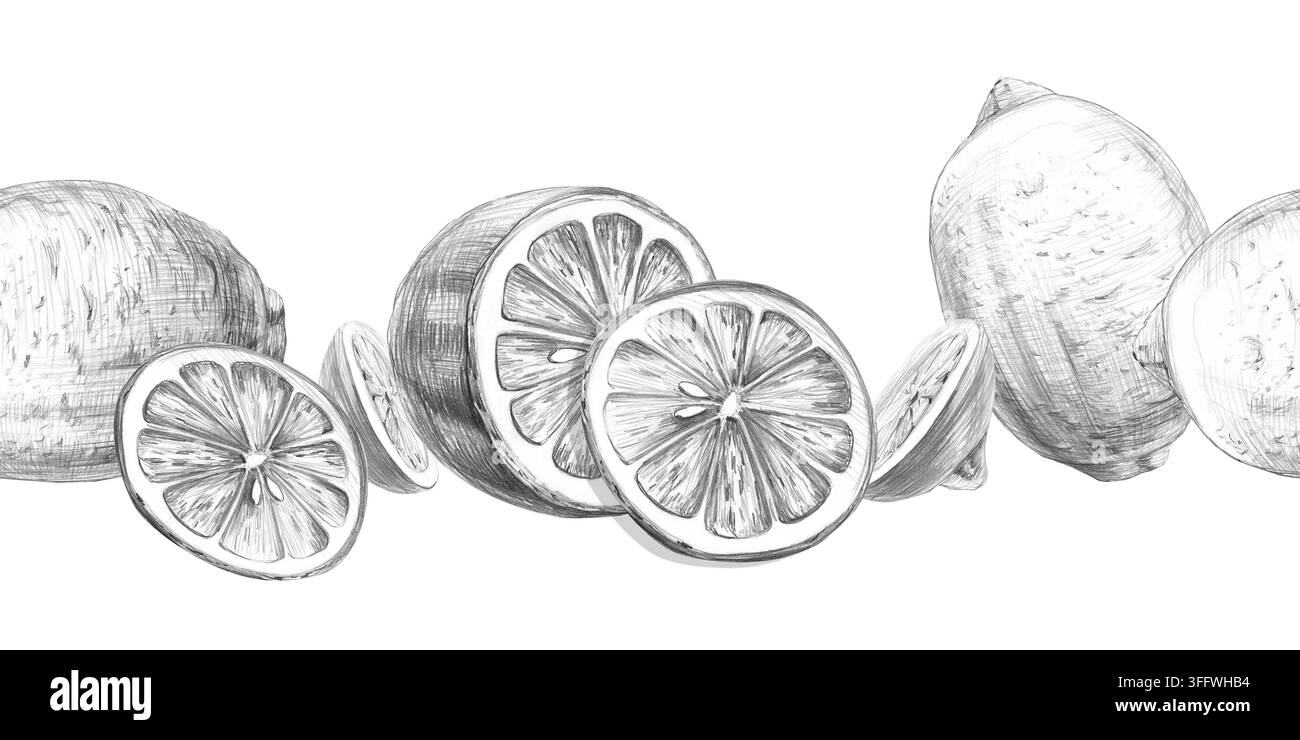 Eine nahtlose Bordüre mit handgezeichneten Zitronen, ganz und in Scheiben geschnitten. Isolierte Bleistiftillustrationen für Menüs, Rezepte, Verpackungen, Druck auf Kraftpapierbeuteln und Stockfoto
