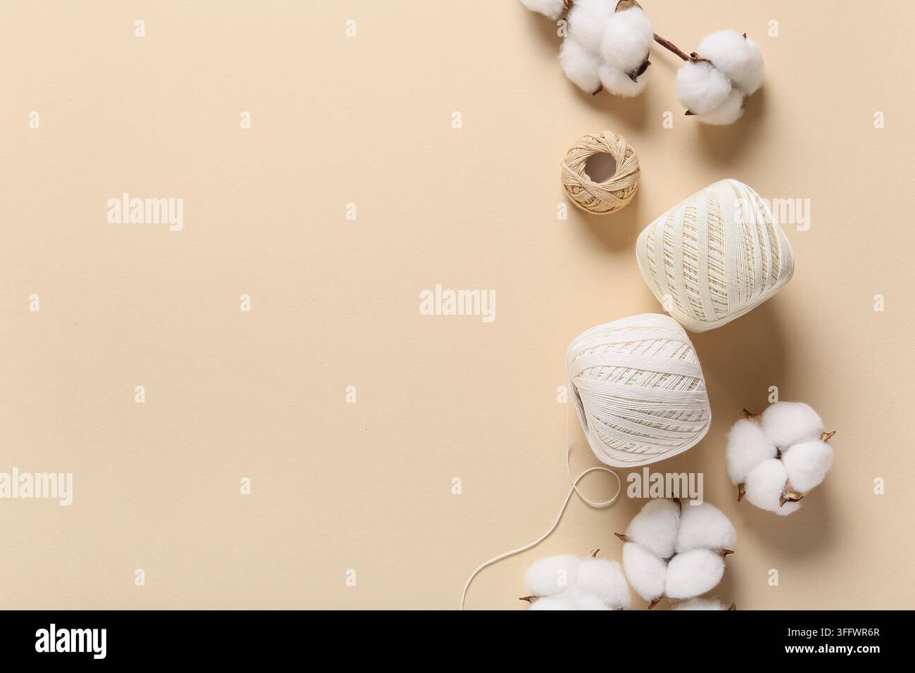 Nachhaltige Mode- und Textilindustrie, organische Baumwollblüten und Garnspulen für umweltfreundliche Kleidungsherstellung auf einem beigen Hintergrund Stockfoto