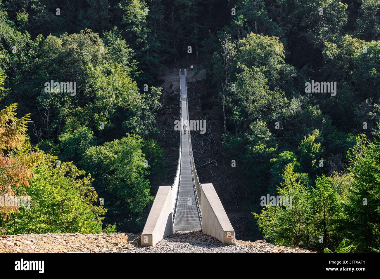 Der Wald, der sich zwischen Sainte-Cécile und den Épioux erstreckt, ist ein weitläufiges ardennisches Massiv, das durch eine wilde und geschützte Natur gekennzeichnet ist. Dieses Gebiet ist bewaldet Stockfoto
