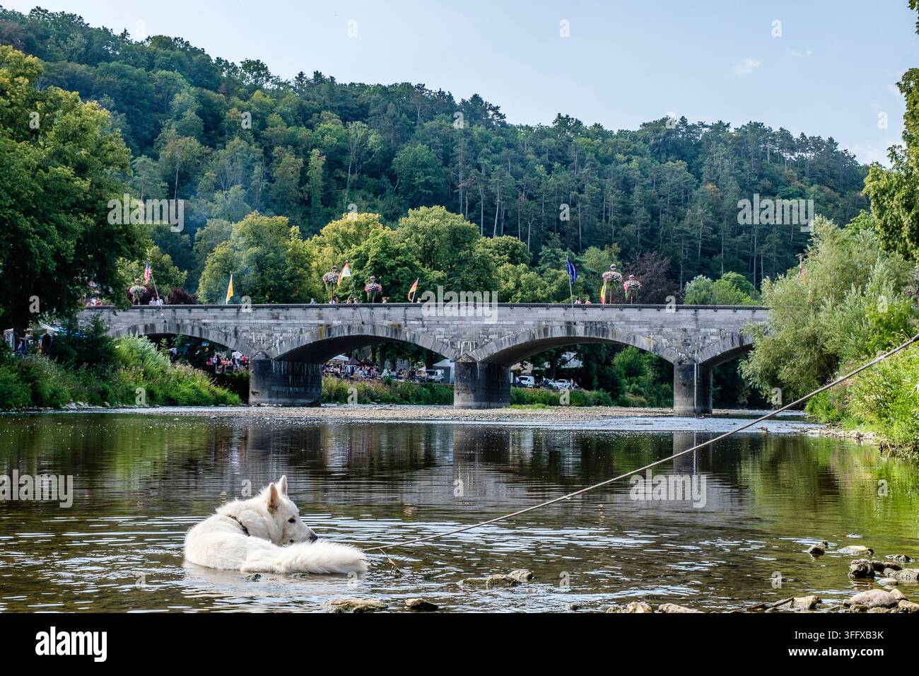 Hamoir liegt in der Wallonischen Region und befindet sich am Zusammenfluss von Ourthe und Néblon, im Herzen der natürlichen Region Condroz. Der Hund, ein Schäferhund Stockfoto