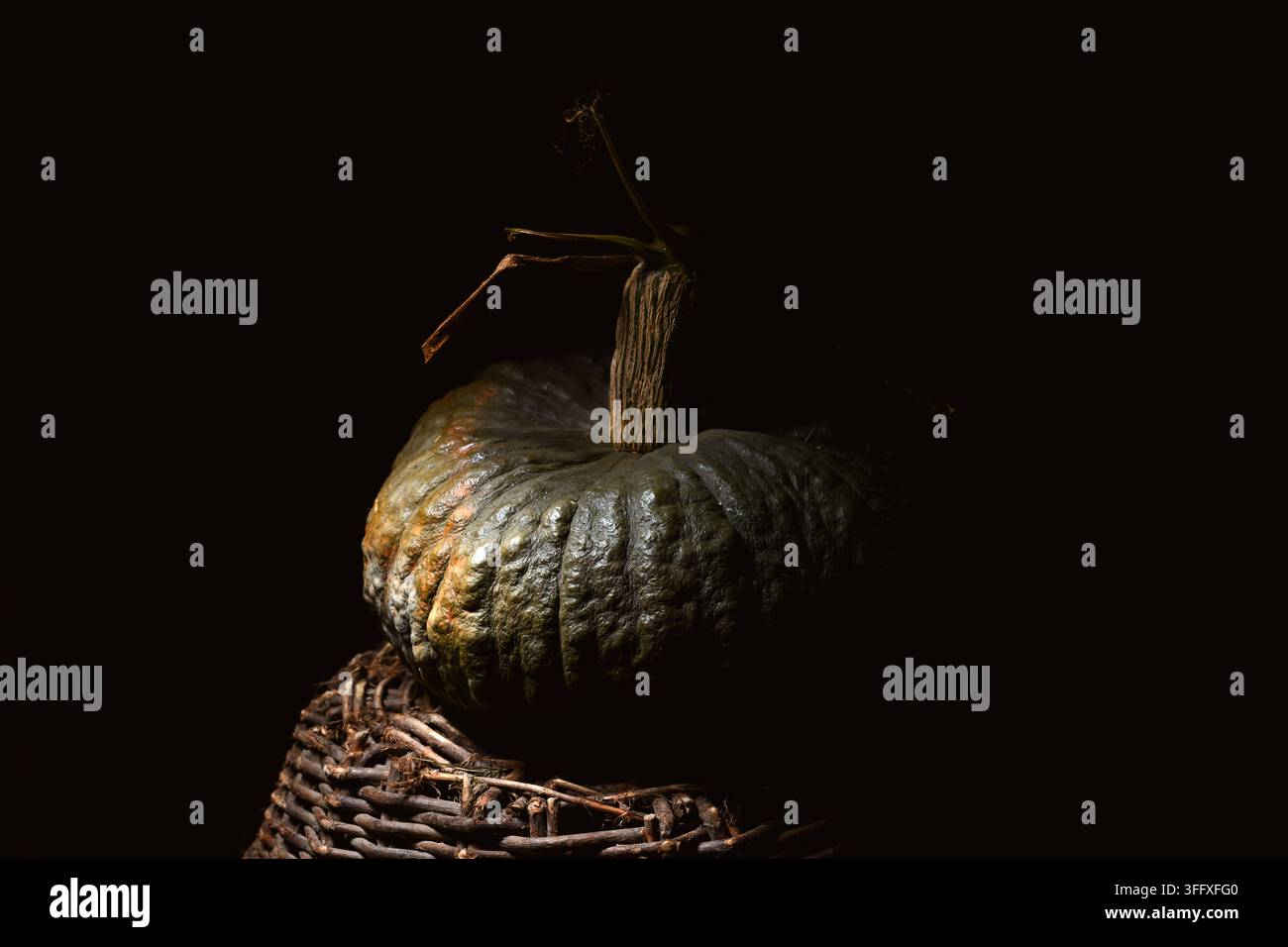 Einziger grüner Kürbis auf Weidenkorb in dunkler Tiefenlichtbeleuchtung mit tiefen Schatten. Minimales Herbststilleben mit rustikaler Textur und Erntestimmung Stockfoto