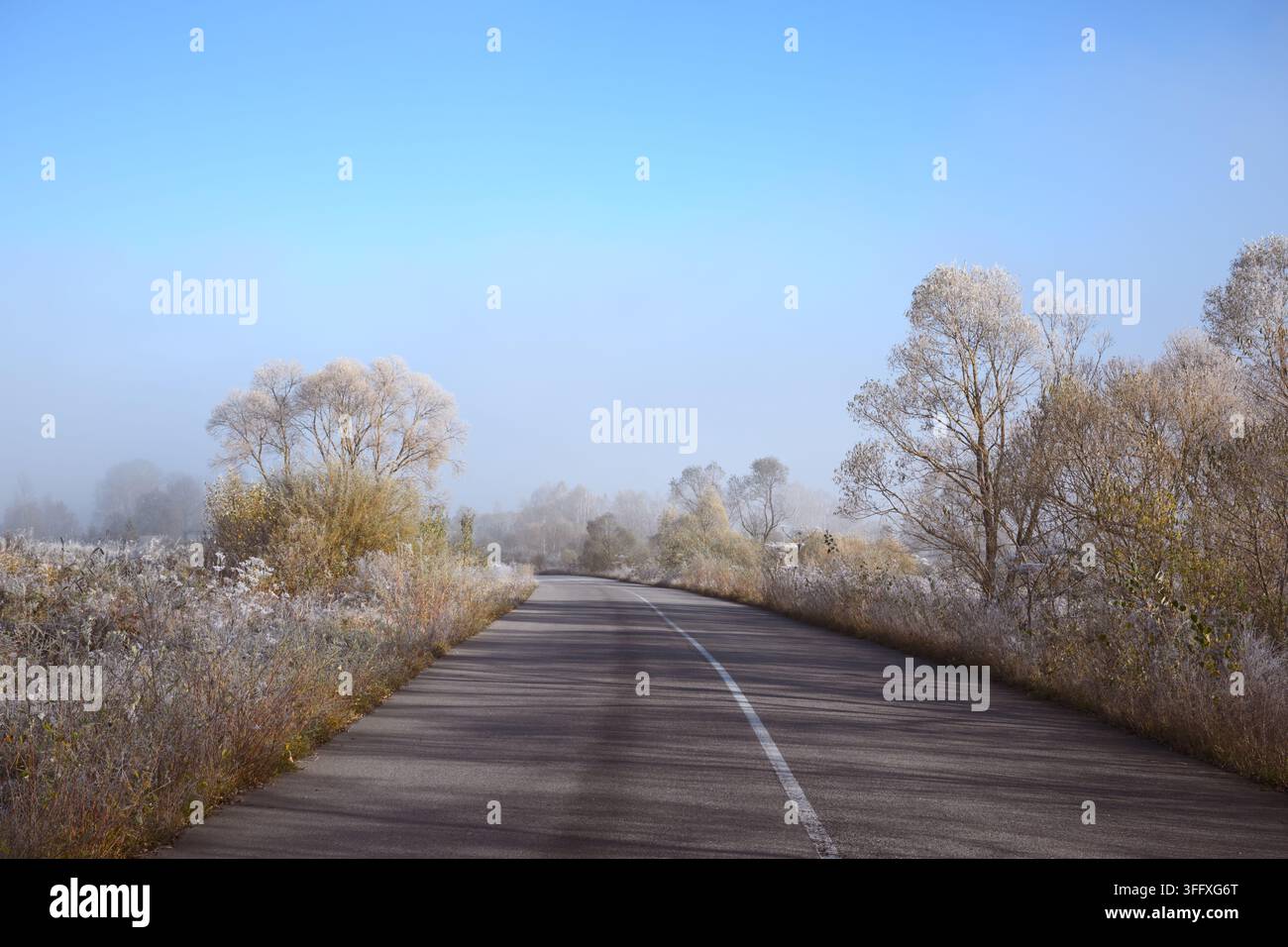 Leere Bergstraße, gesäumt von frostbedeckten Bäumen unter einem klaren blauen Himmel. Raureif verwandelt die Winterlandschaft in eine stille atmosphärische Szene Stockfoto