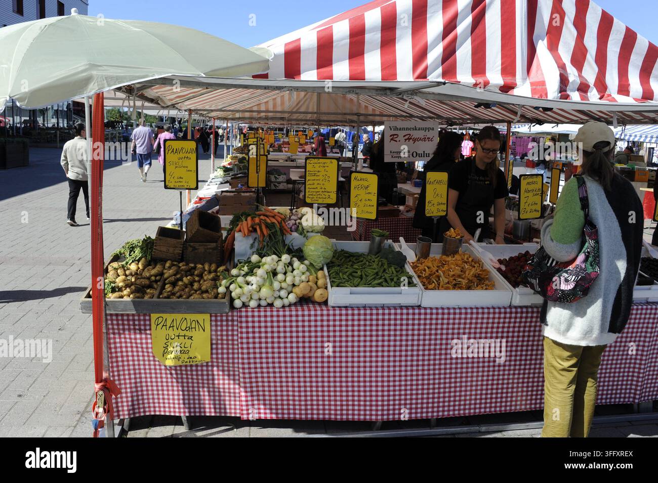 Lebendiger Marktstand unter freiem Himmel am Kauppatori in Oulu, Finnland, der frische nordische Produkte wie Pfifferlinge und neue Kartoffeln unter gestreiften Markisen ausstellt Stockfoto