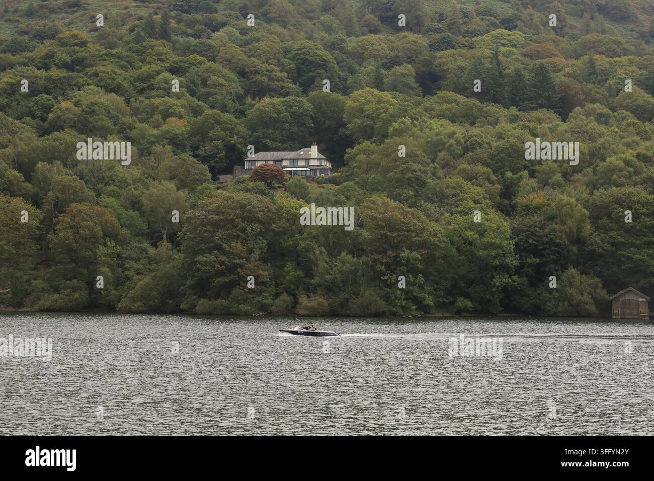 Ein Motorboot rast an einem dicht bewaldeten Waldhaus vorbei, das sich zwischen grünen Hügeln am Ufer des Lake Windermere im Lake District, Cumbria, UK, befindet. Stockfoto