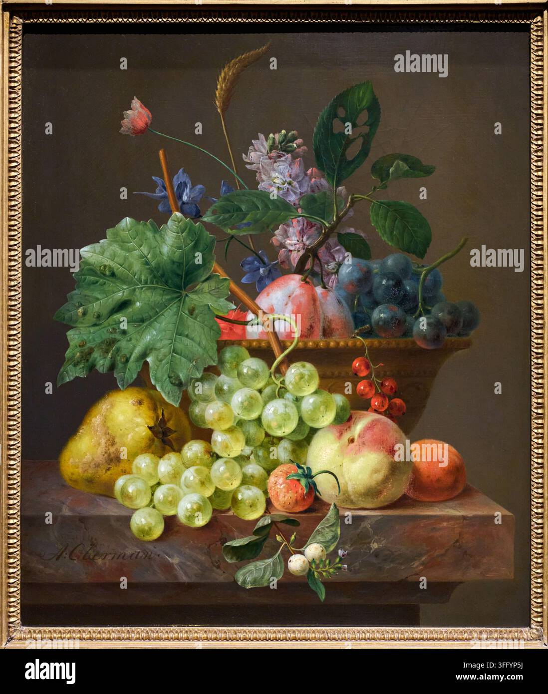 Stillleben mit Obst in einer Terrakottaschale, 1830, Anthony Oberman (1781-1845), Rijksmuseum, Amsterdam, Niederlande Stockfoto