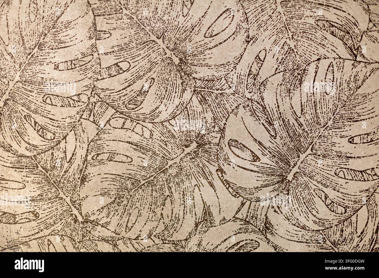 Vintage-Monstera-Blatt-Botanisches Muster in Sepia. Detaillierte Sepia-Illustration überlappender Monstera-Blätter im Vintage-Botanical-Stil. Stockfoto