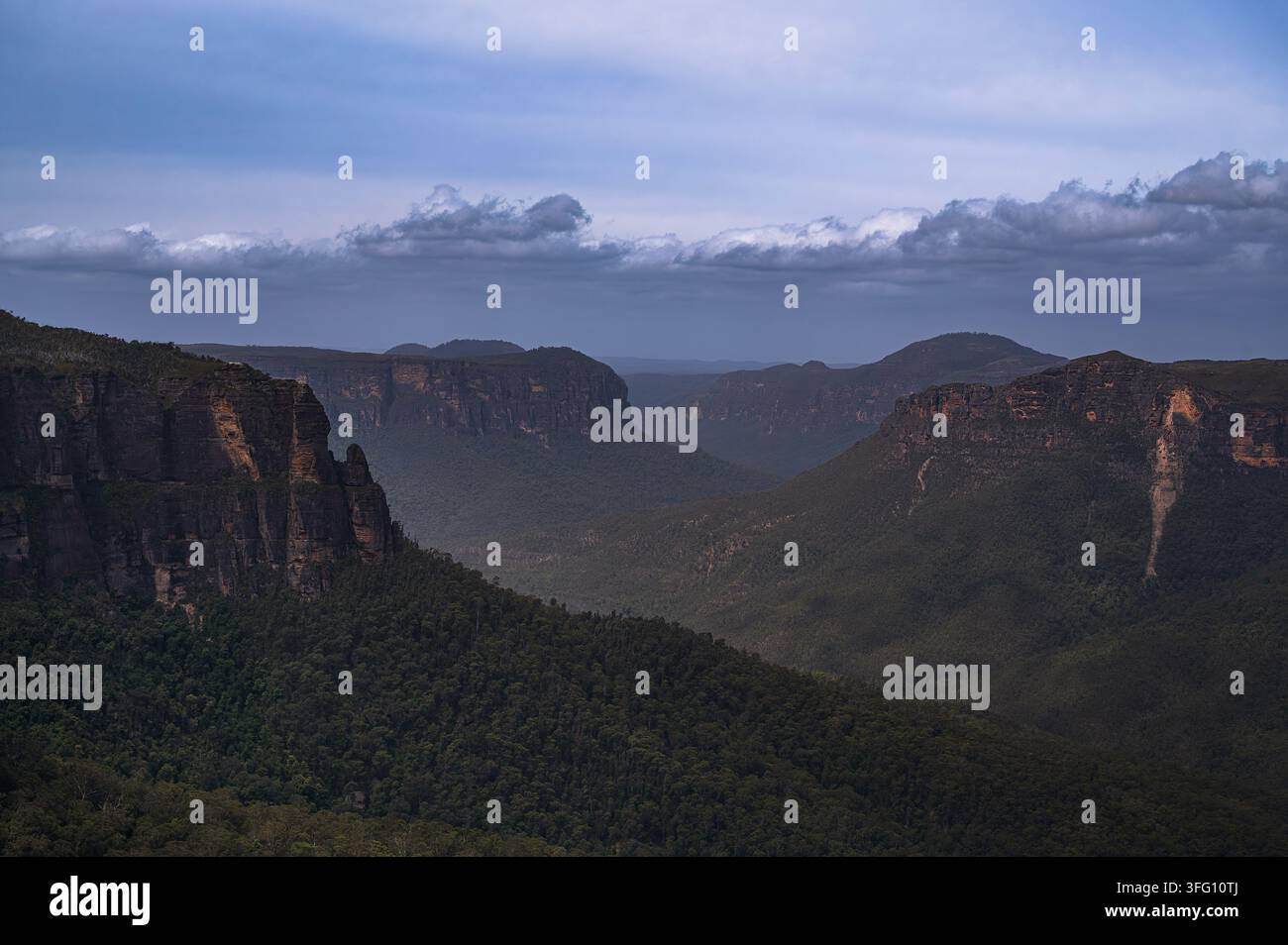 Frische Bergluft und Blaugummibaumwald als Kulisse, aufgenommen vom Govetts Leap Aussichtspunkt, Blue Mountains, New South Wales, Australien Stockfoto