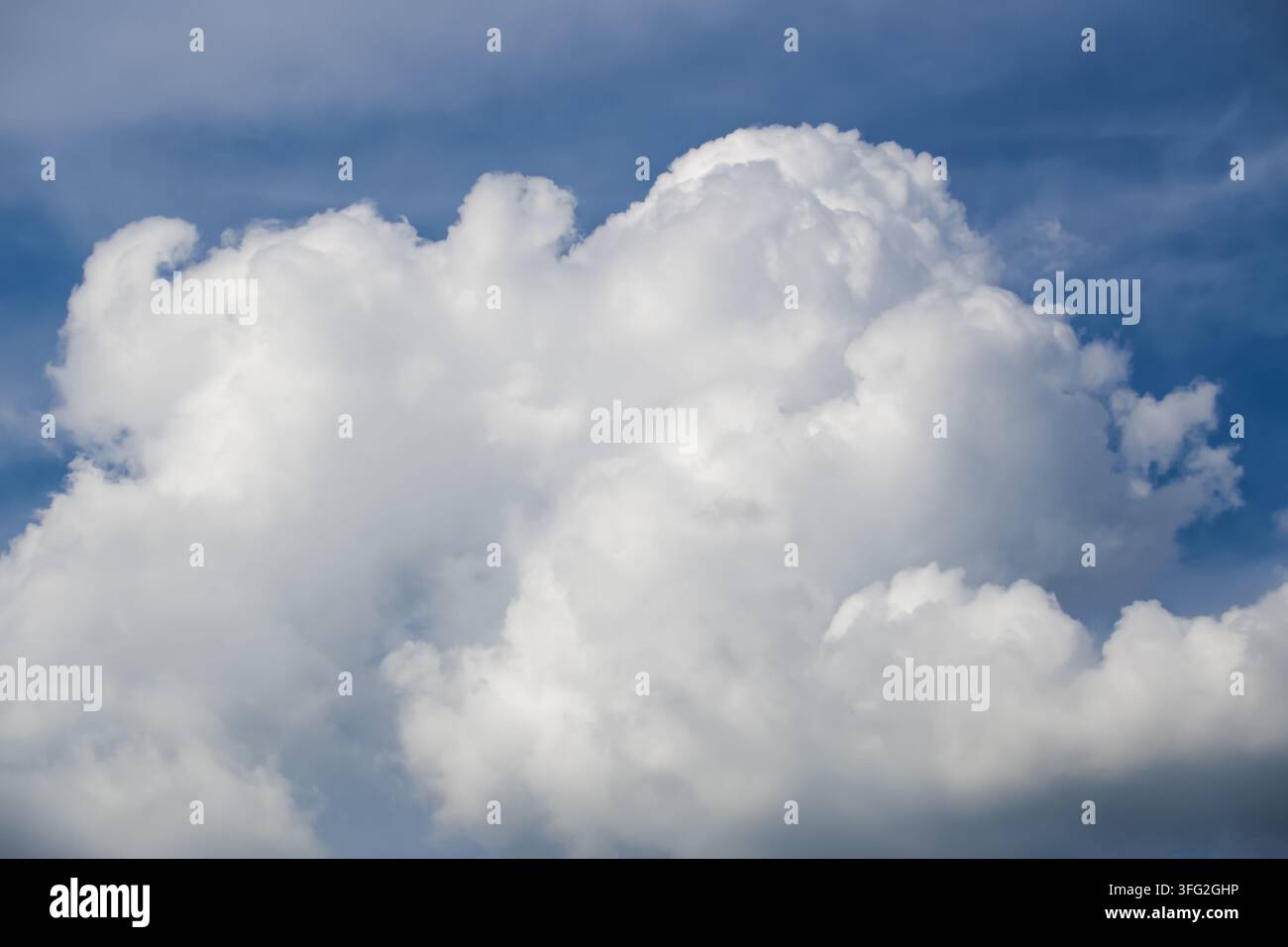Nahaufnahme einer dicken, flauschigen weißen Kumuluswolke vor einem tiefblauen Himmel. Konzept für Atmosphärenwissenschaft, Wetterveränderung, natürliche Reinheit Stockfoto