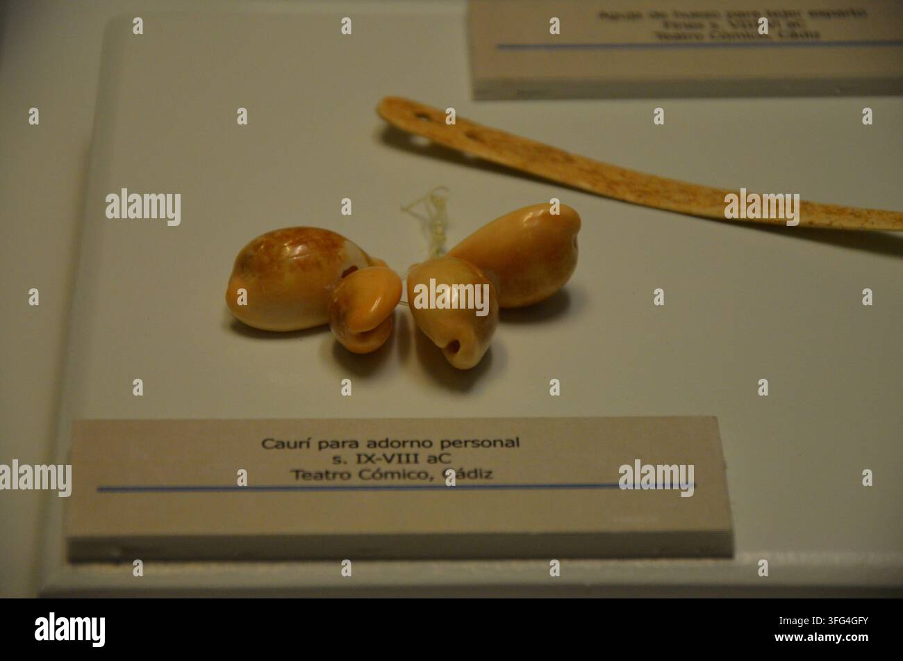 Cadiz, Spanien 03.26.2019: Cowrie als persönlicher Schmuck, 9.-8. Jahrhundert v. Chr. Knochennadel zum Flechten von Espartogras, Ende des 8.-6. Jahrhunderts v. Chr. Stockfoto