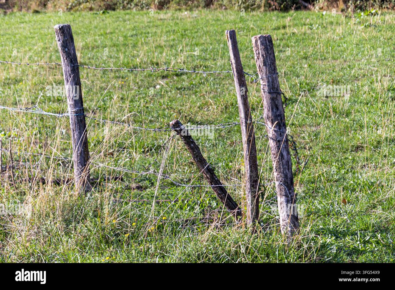 ein alter Bergweidezaun Stockfoto