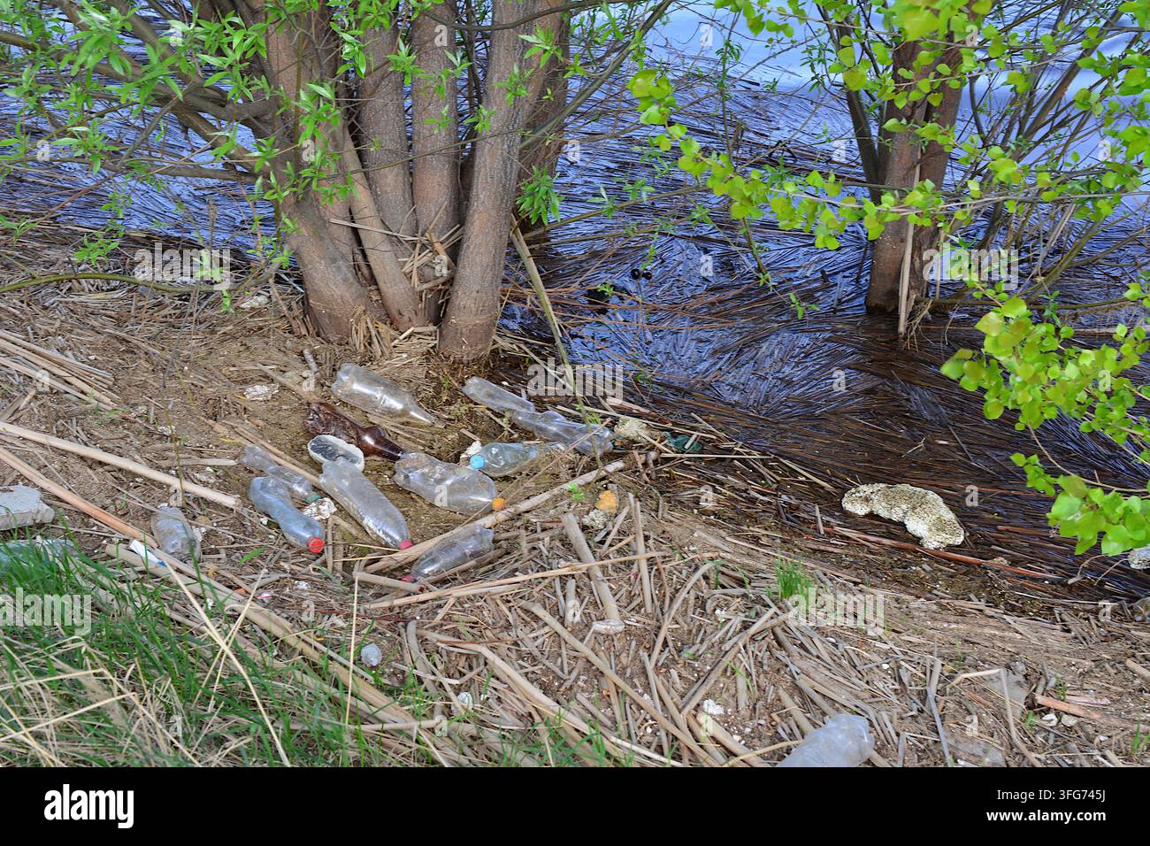 Plastikflaschen und Müll, die das Seeufer verschmutzen Stockfoto