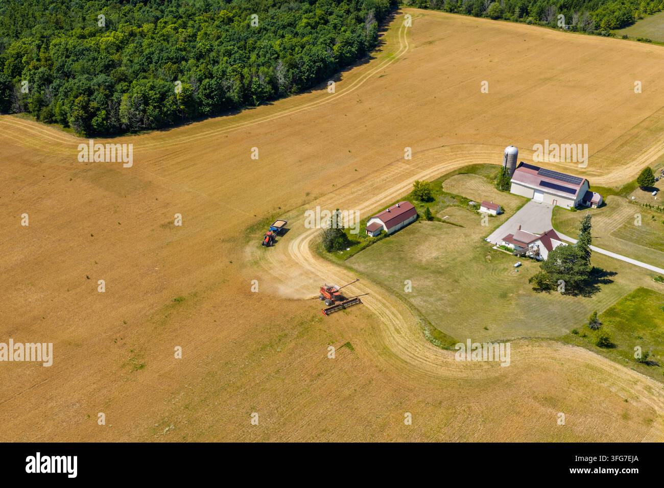 Weizen wird in Door County Wisconsin geerntet. Bild erstellt mit meinem DJI Mavic Pro 4-Drohne. Stockfoto