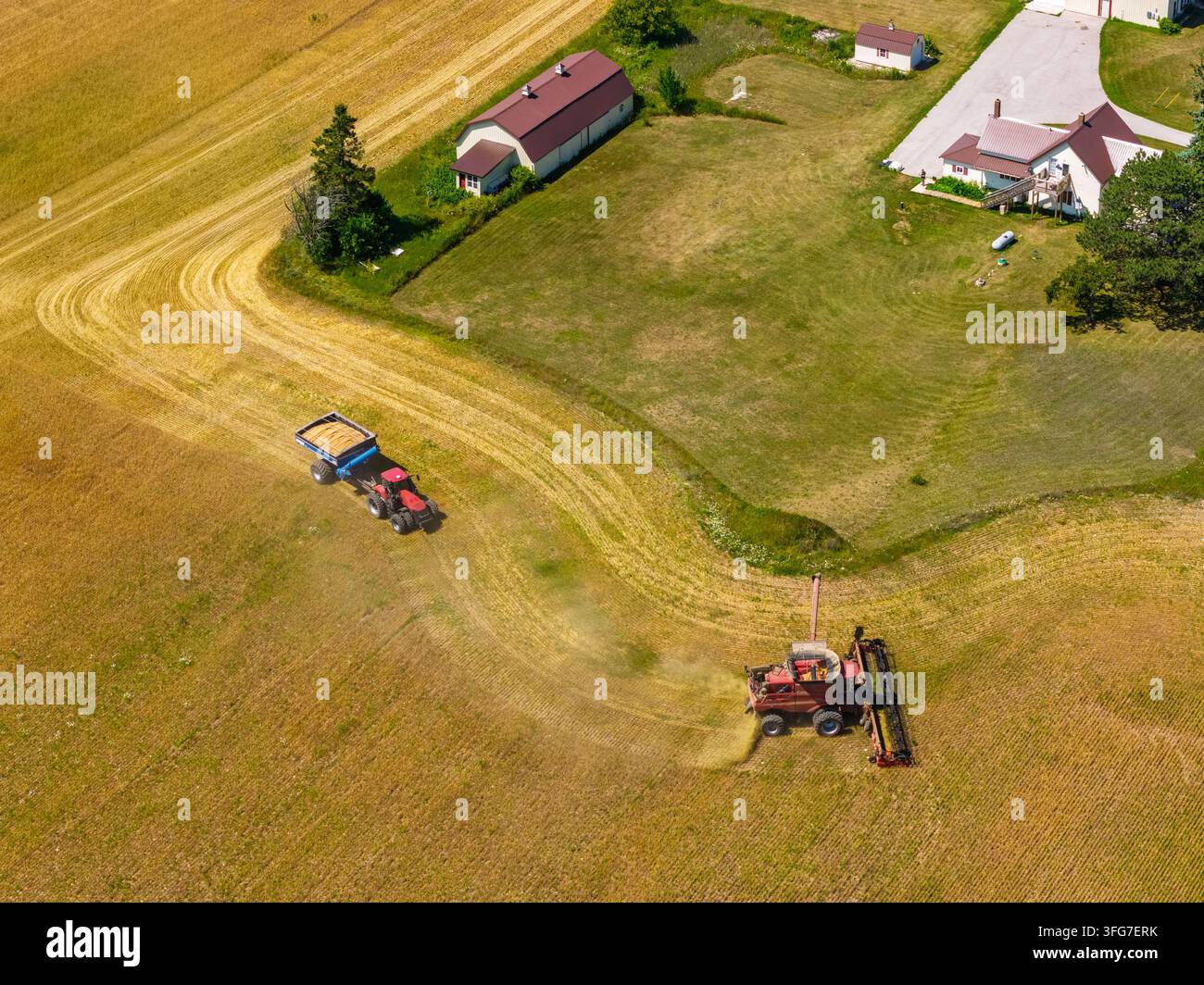 Weizen wird in Door County Wisconsin geerntet. Bild erstellt mit meinem DJI Mavic Pro 4-Drohne. Stockfoto