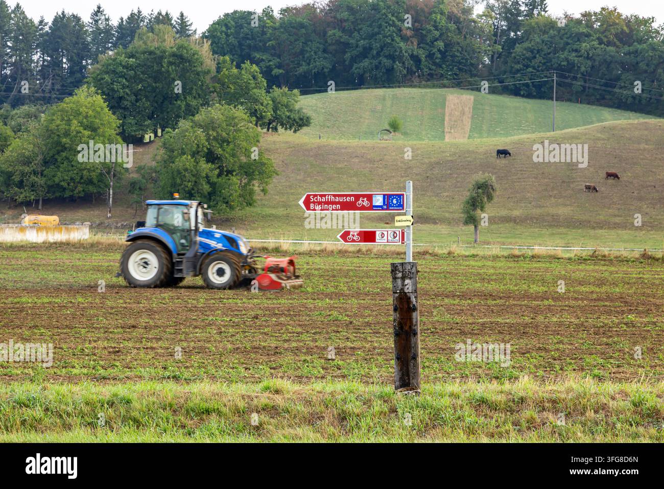 Buesingen am Hochrhein ist die einzige Gemeinde in Deutschland, die vollständig von ausländischem Territorium umgeben ist. Die Gemeinde ist von der Schweiz umgeben Stockfoto