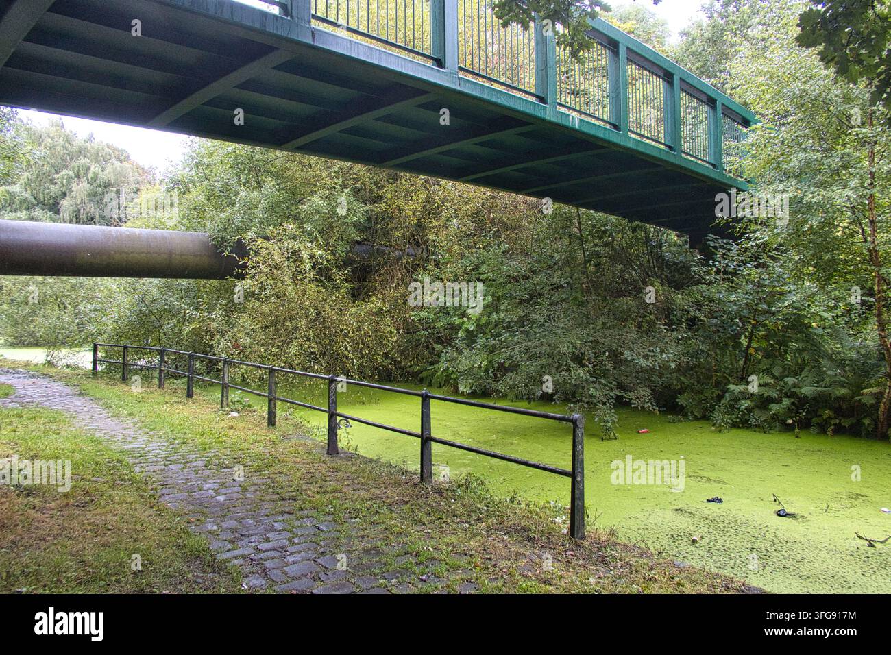 Eine grüne Metall-Fußgängerbrücke und ein großes Industrierohr spannen sich über die mit Wasserlinsen bedeckten Gewässer des Radcliffe-Kanals in Greater Manchester, UK. Stockfoto