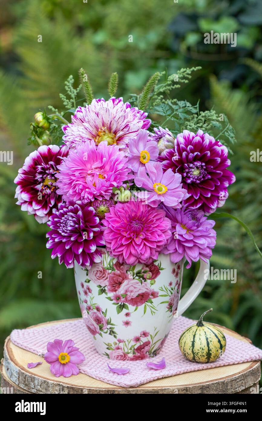 Strauß aus rosa Dahlien, japanischer Anemone und China-Aster in einer Tasse im Garten Stockfoto